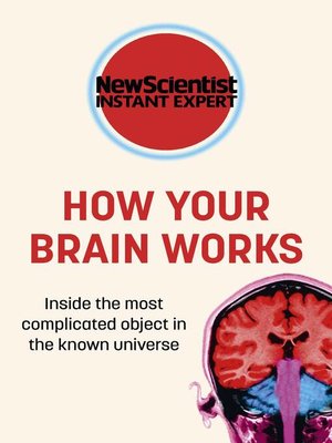 cover image of How Your Brain Works